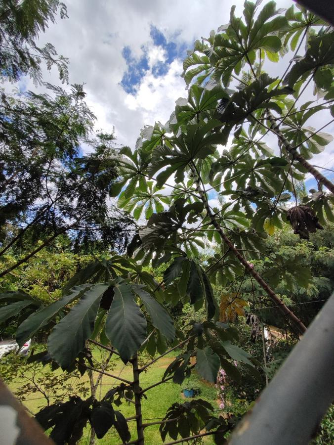Chapada dos GuimarãesLoft Charmoso公寓 外观 照片